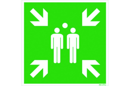 [66.184.82] Panneaux de secours "Point de rassemblement" (non photoluminescent)