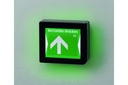 Terminal sorties secours Display EFF-EFF ePED 1386D10