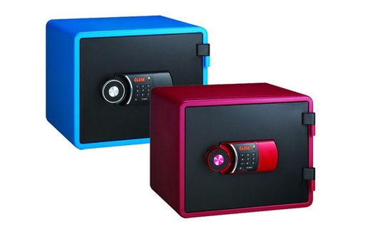 COFFRES-FORTS COUPE-FEU RIEFFEL SÉRIE VT-FS