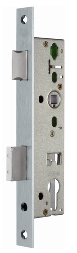 SCHANIS 1923 PROFILO