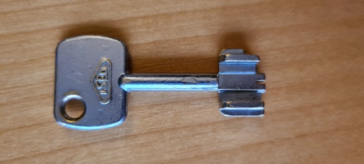 [5IE5] CLÉ SUPPLÉMENTAIRE ISEO SELON MODELE